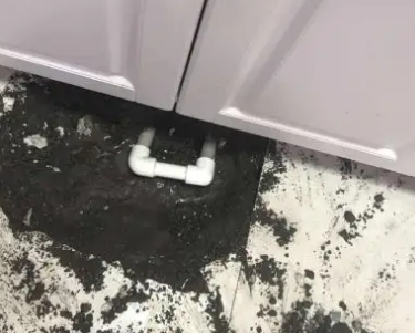 定南查漏水哪家好