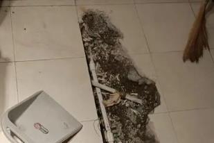 定南卫生间漏水检测电话